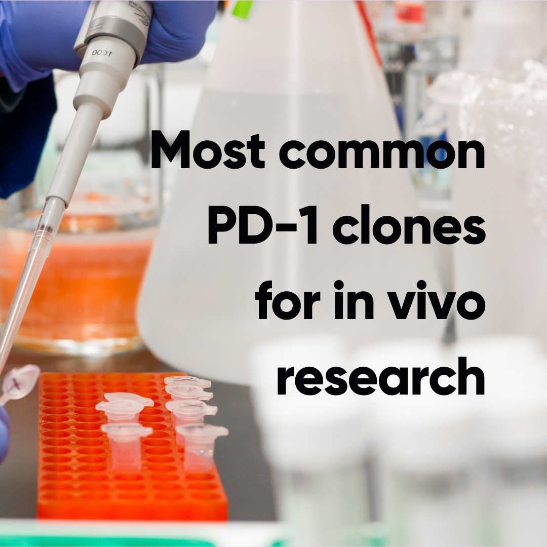 Exploring the Most Commonly Used PD-1 Antibody Clones for In Vivo Research