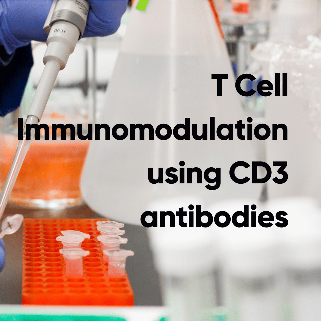 In vivo effects of T cell immunomodulation using anti-CD3 antibodies