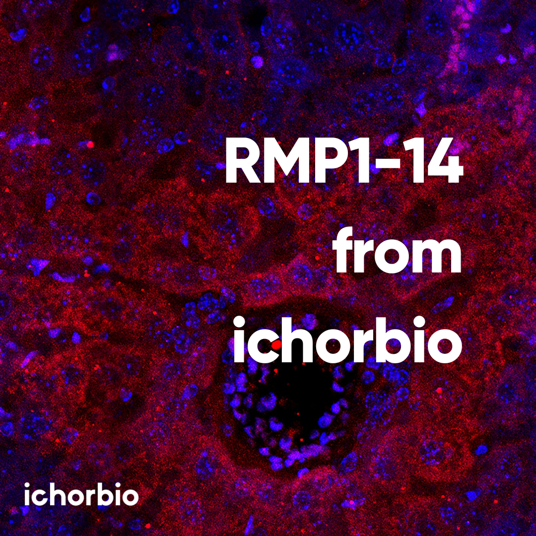 RMP1-14 from ichorbio