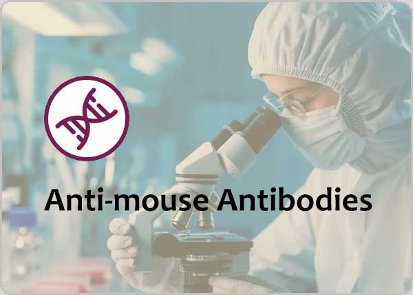 in-vivo-antibodies