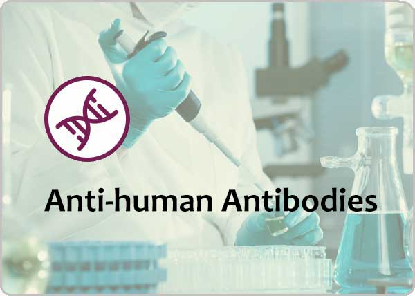 in-vivo-antibodies